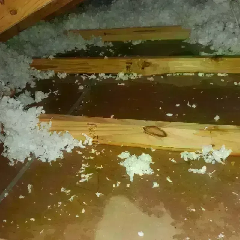 Best Attic Water Damage Service in Hillside, IL