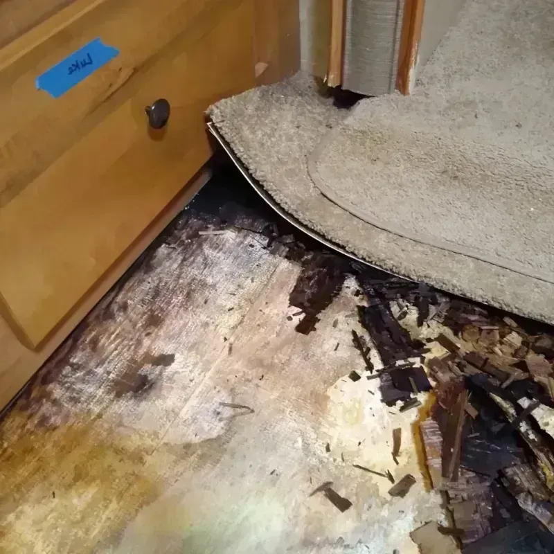 Wood Floor Water Damage in Hillside, IL